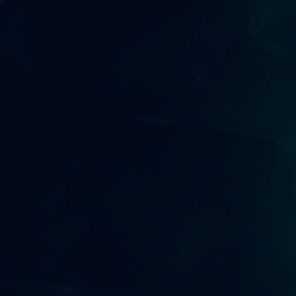 Meet your Posher, Dylan